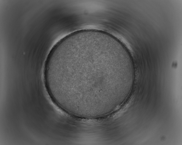 X0000102040991200808081831