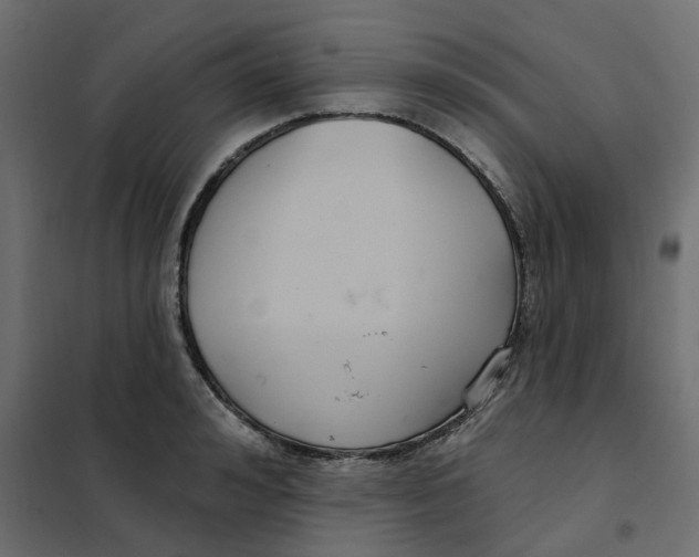 X0000102040992200808081831