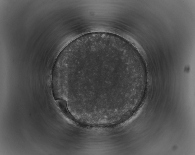 X0000102040993200808081831