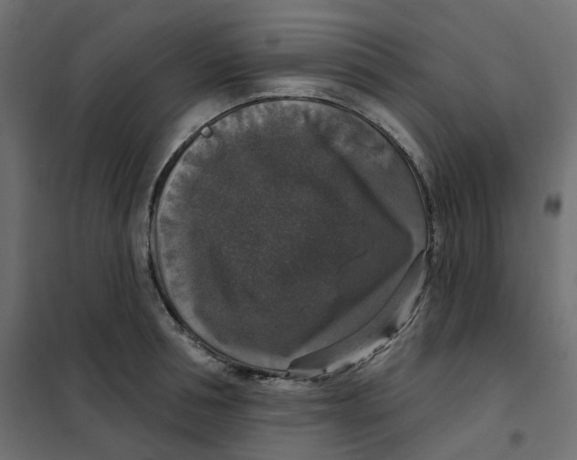 X0000102040994200808081831