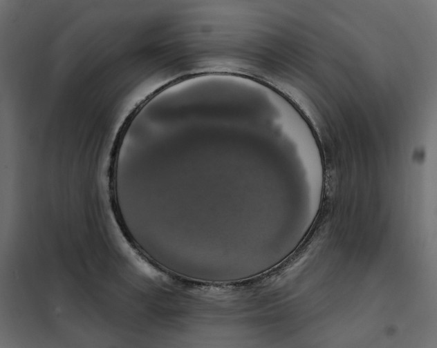 X0000102040995200808081831