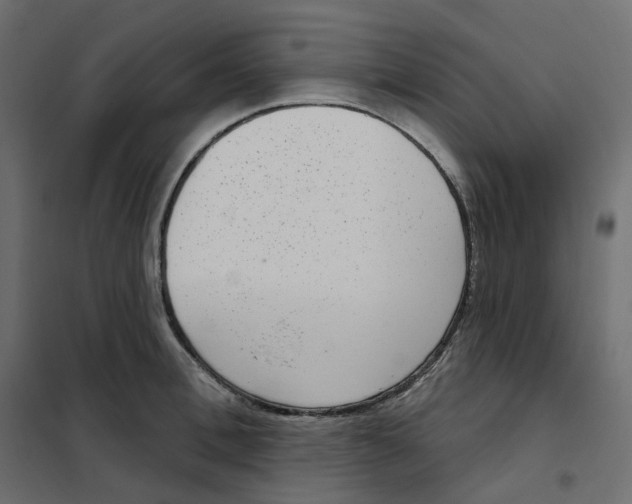 X0000102040996200808081831