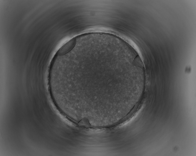 X0000102040997200808081831