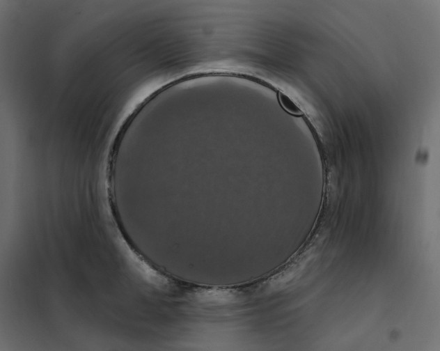 X0000102040998200808081831