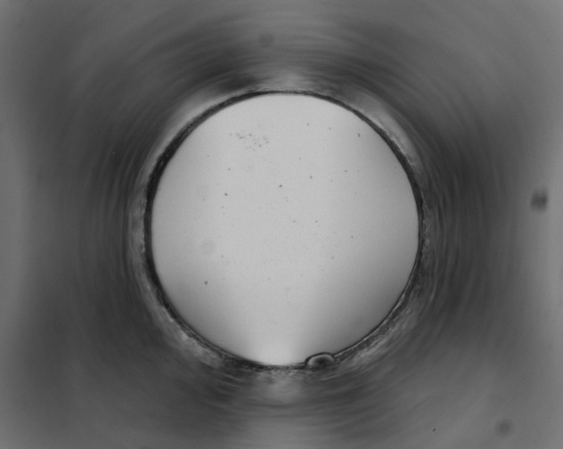 X0000102041000200808081830