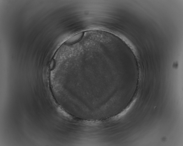 X0000102041001200808081830