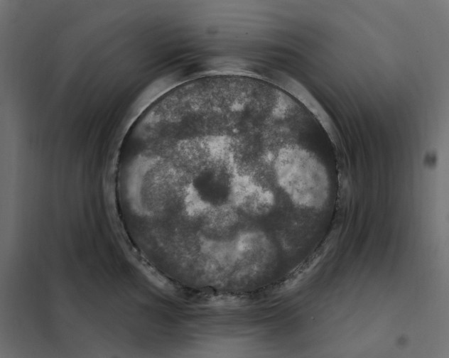 X0000102041002200808081830