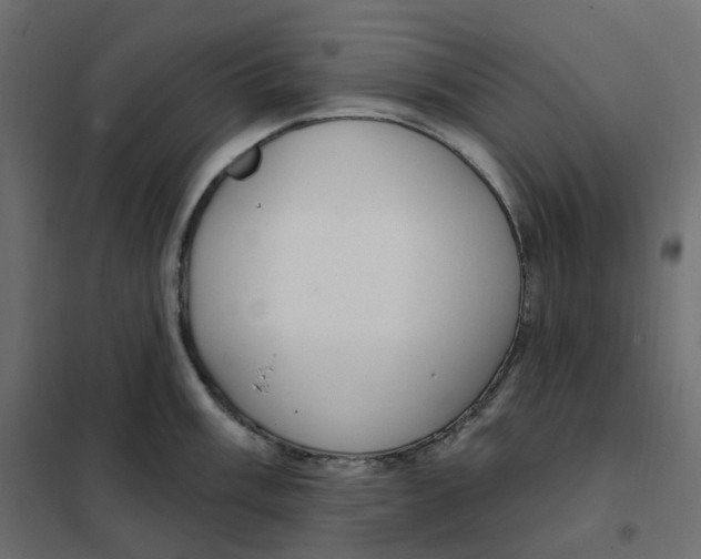 X0000102041003200808081830