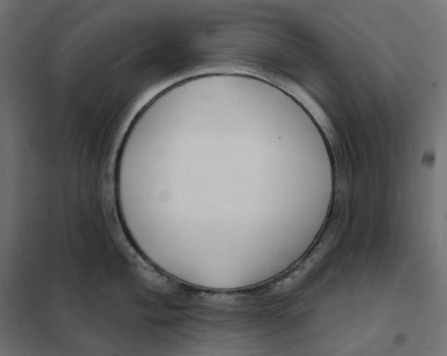 X0000102041004200808081830