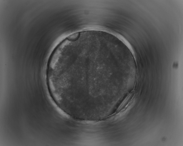 X0000102041005200808081830