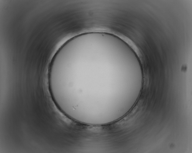 X0000102041006200808081830