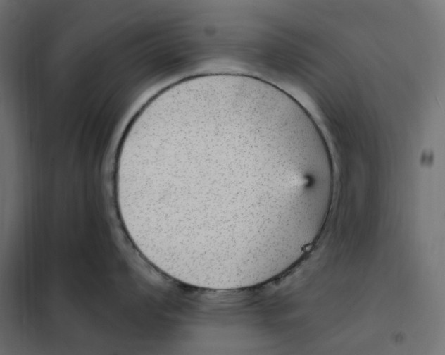 X0000102041008200808081830