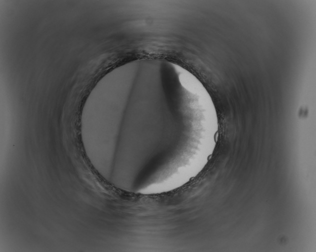 X0000102041009200808081830