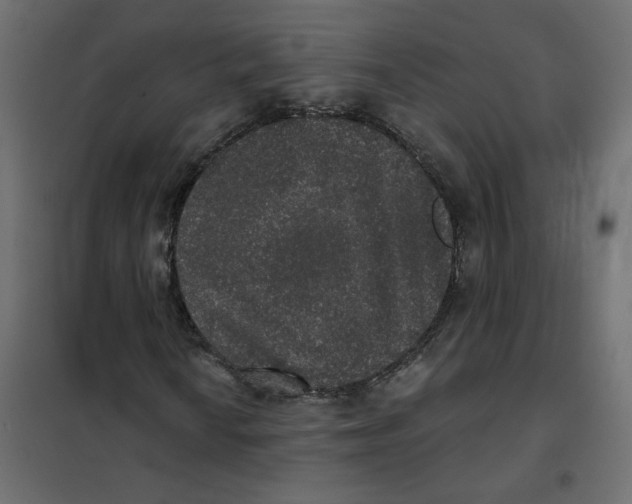 X0000102041010200808081830