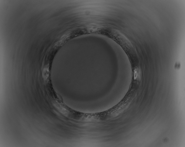 X0000102041011200808081830