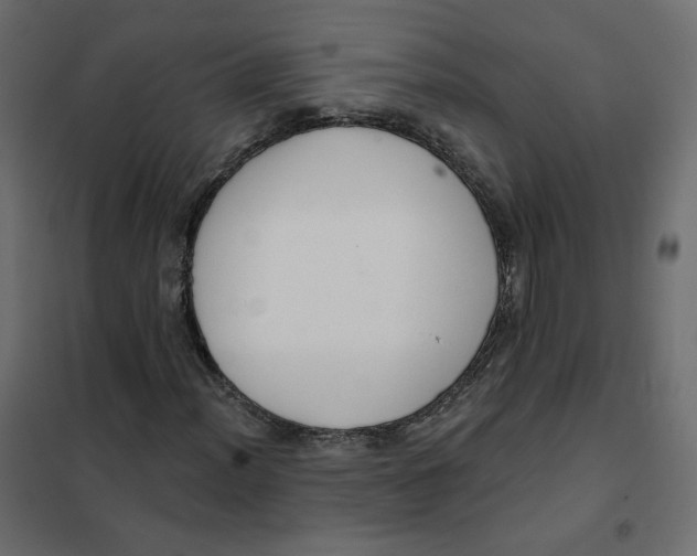 X0000102041012200808081830