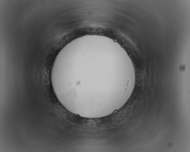 X0000102041013200808081830