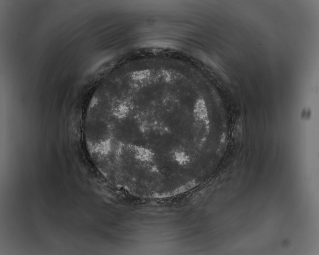 X0000102041014200808081830