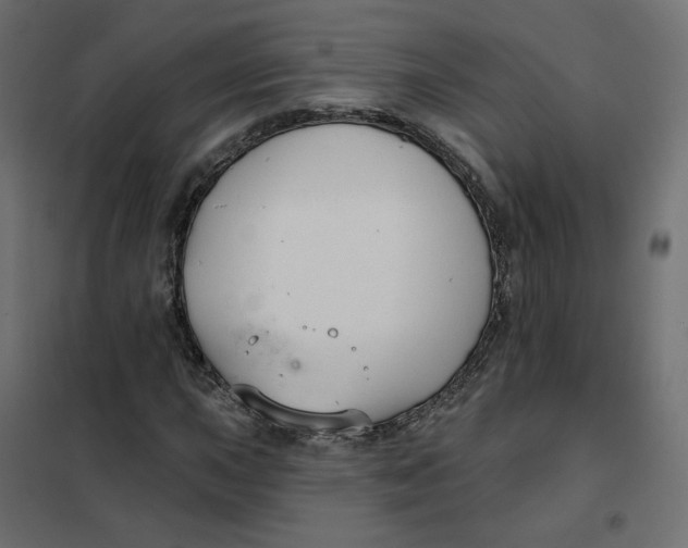 X0000102041015200808081830