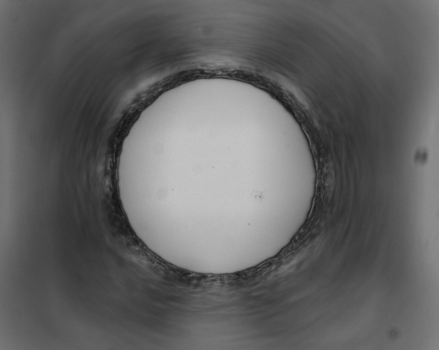 X0000102041016200808081830