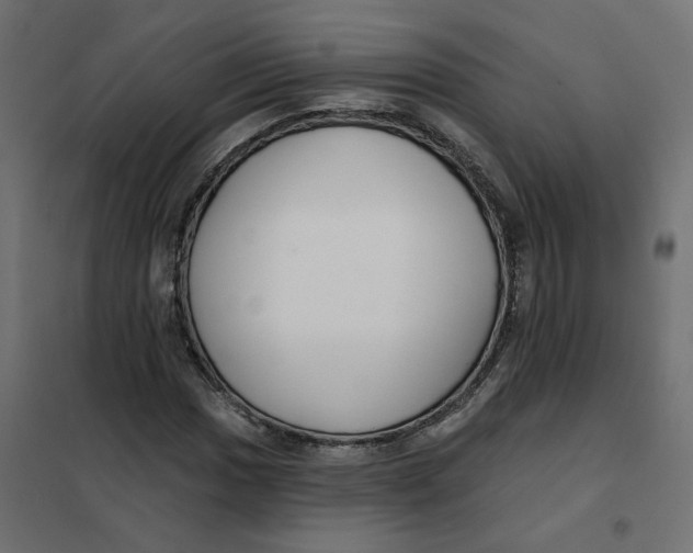 X0000102041017200808081830