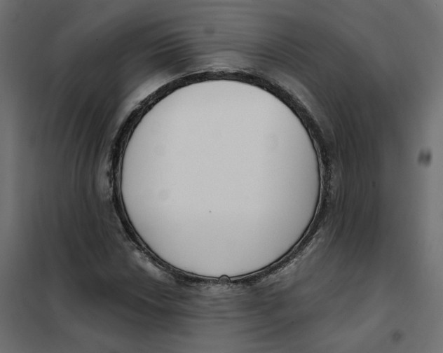 X0000102041018200808081830