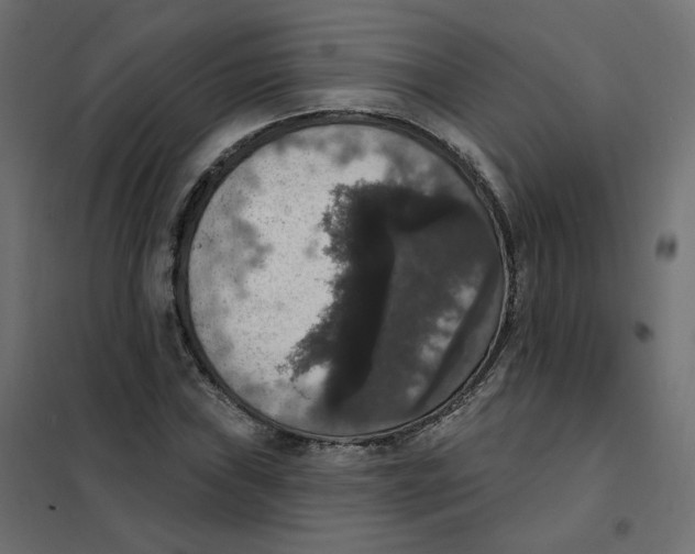 X0000102041019200808081830