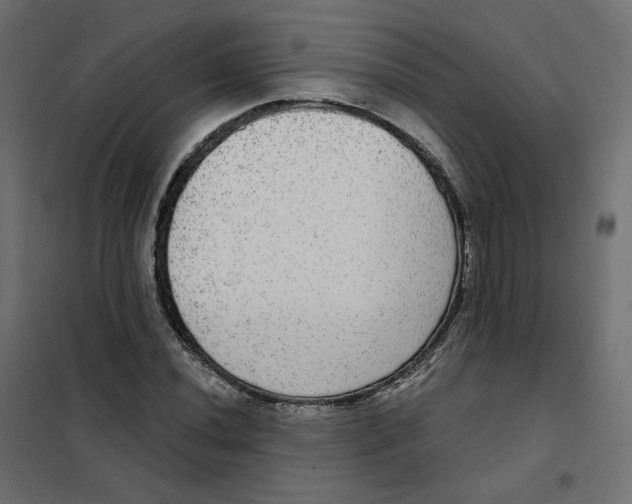 X0000102041020200808081830