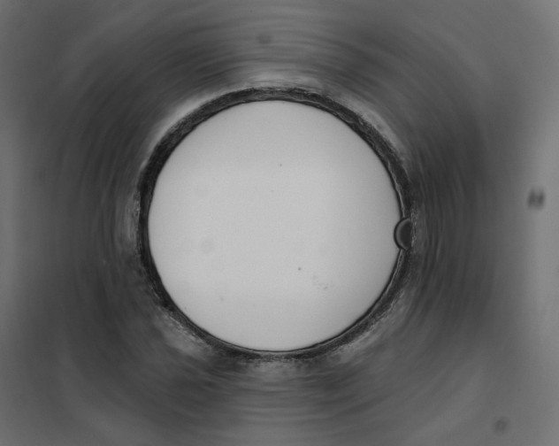 X0000102041021200808081830