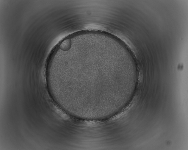 X0000102041022200808081830