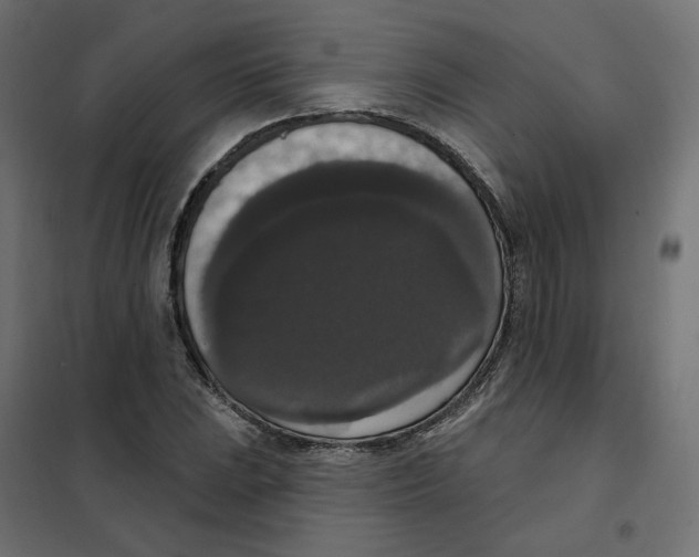 X0000102041023200808081830