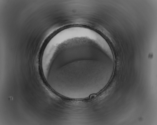 X0000102041024200808081830