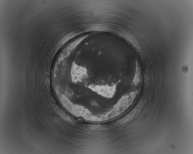 X0000102041025200808081830