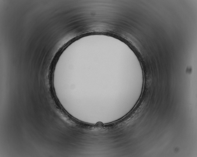 X0000102041026200808081830