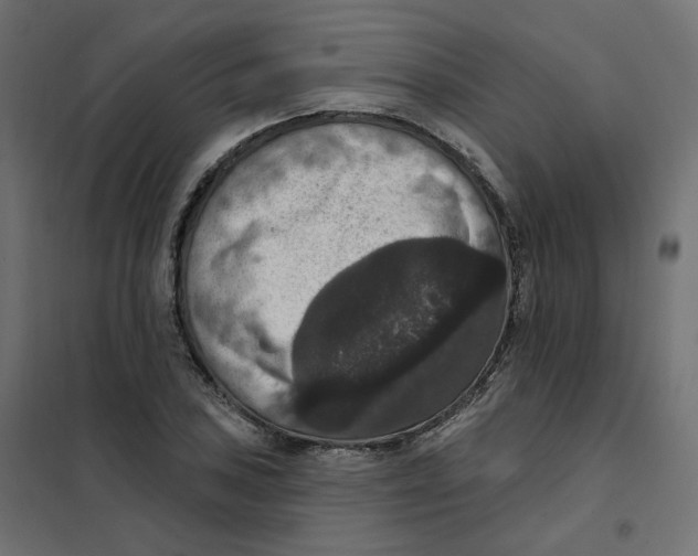 X0000102041027200808081830