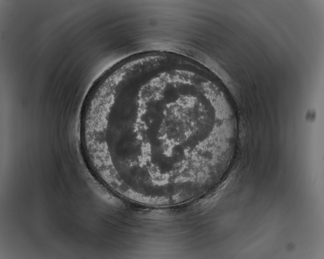 X0000102041028200808081830