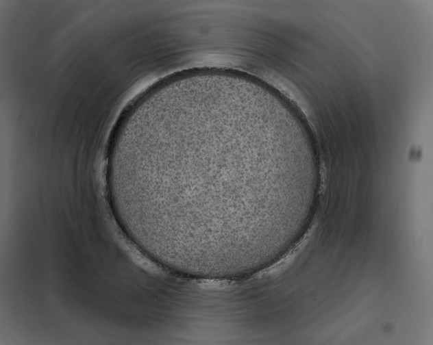 X0000102041029200808081830