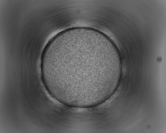 X0000102041030200808081830