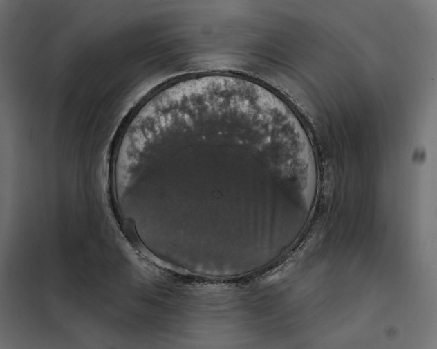 X0000102041031200808081830