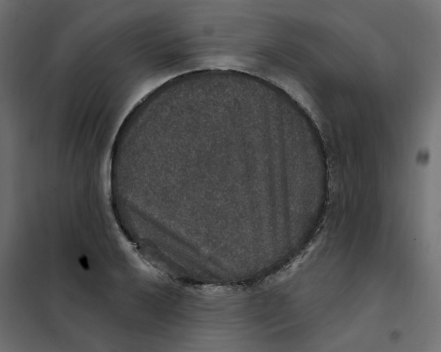 X0000102041032200808081830