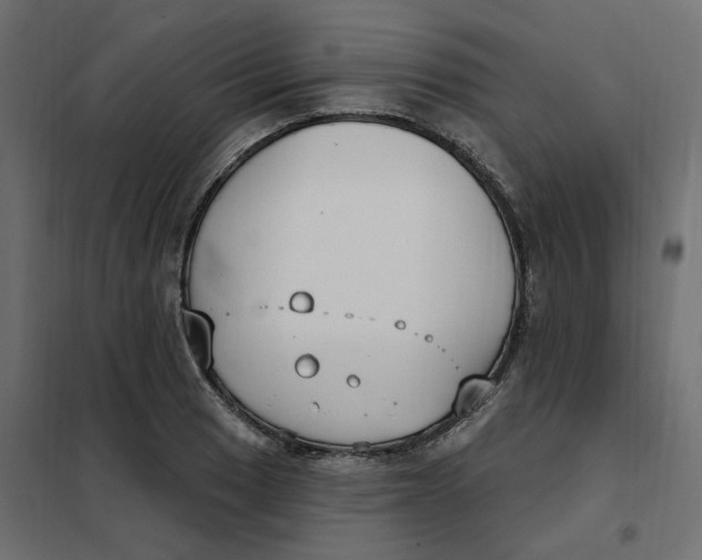 X0000102041033200808081830