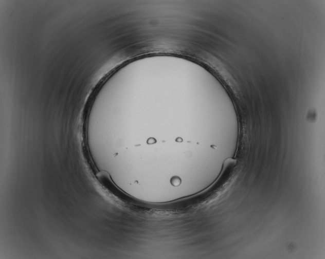 X0000102041034200808081830