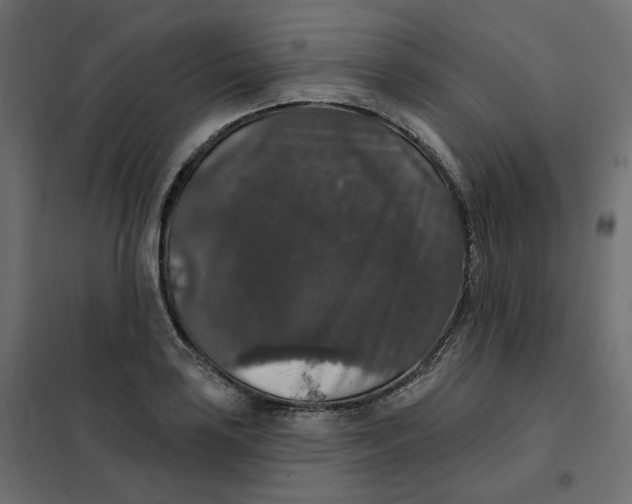 X0000102041035200808081830