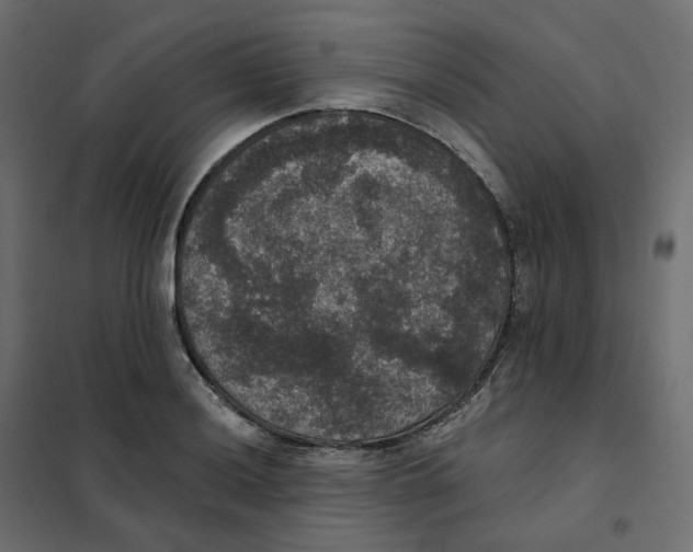 X0000102041036200808081830