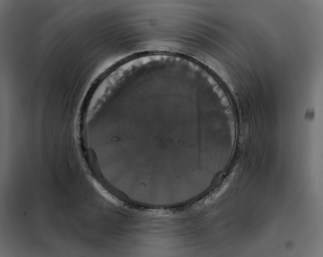 X0000102041037200808081830