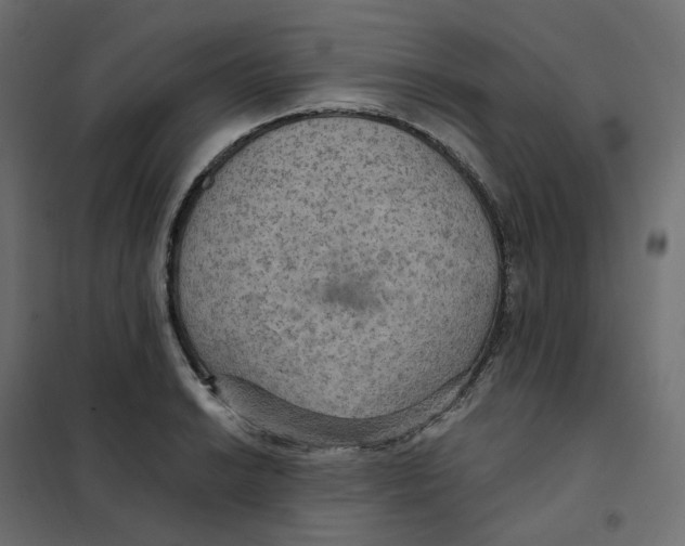 X0000102041038200808081830