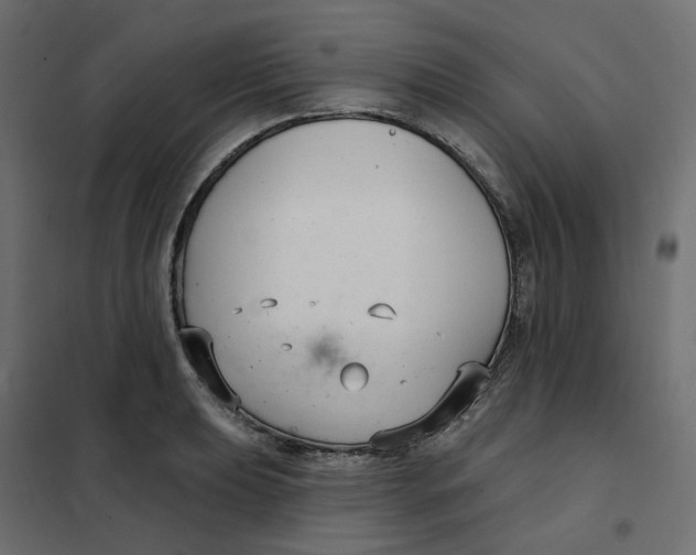 X0000102041039200808081830