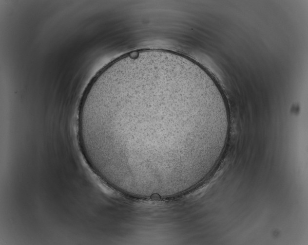 X0000102041040200808081830