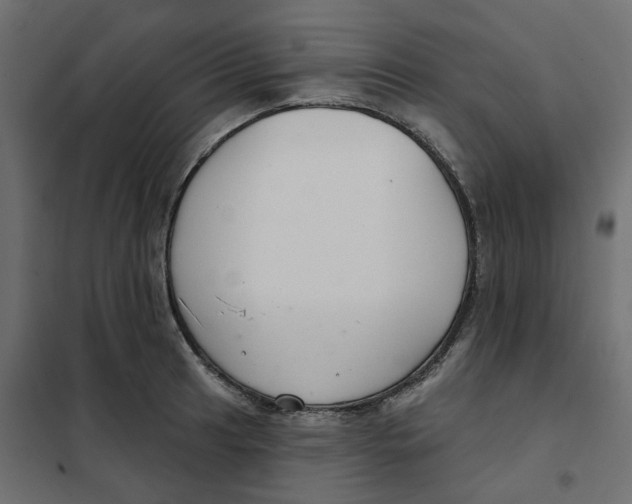 X0000102041041200808081830