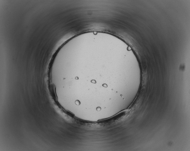 X0000102041042200808081830